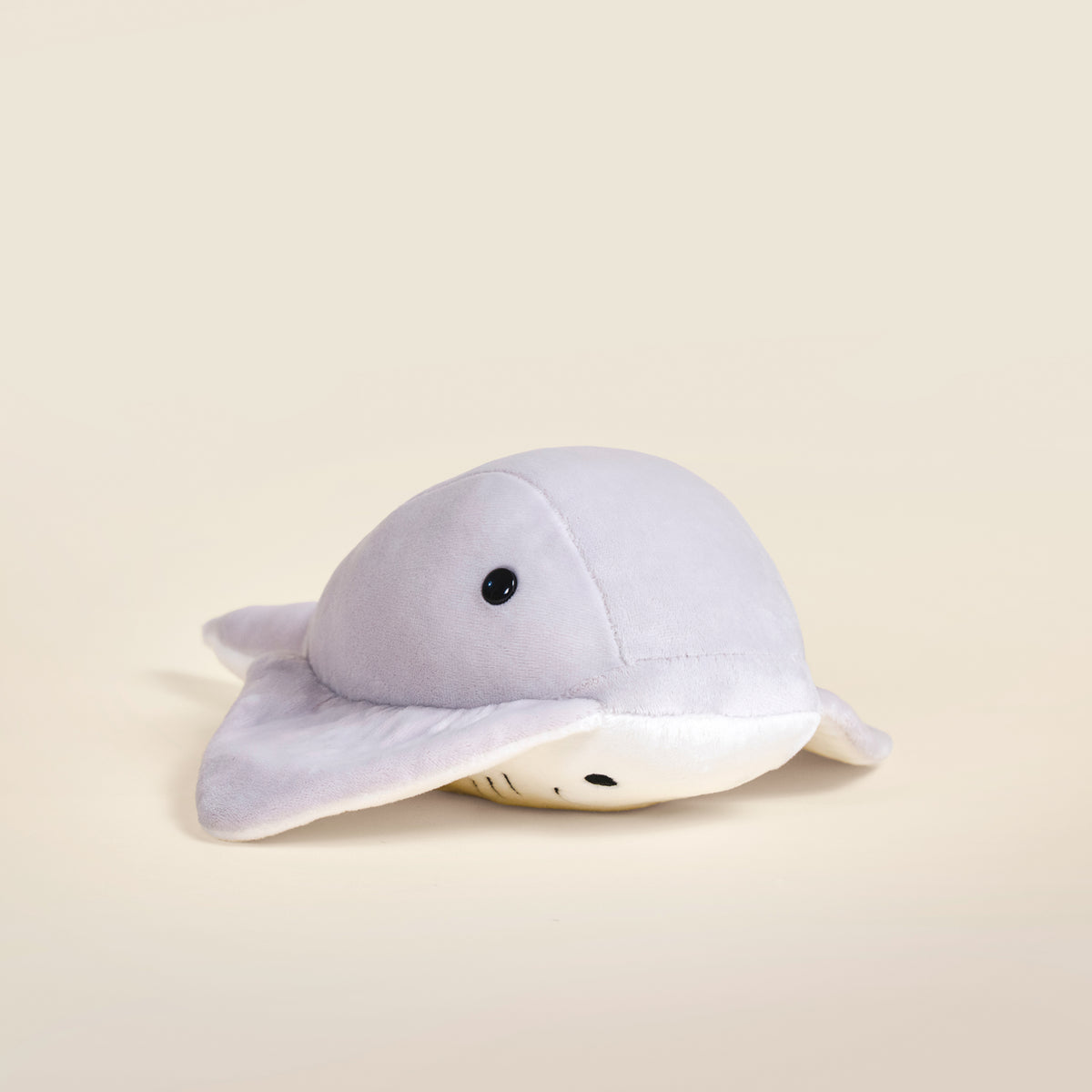 Stingi the Sting Ray