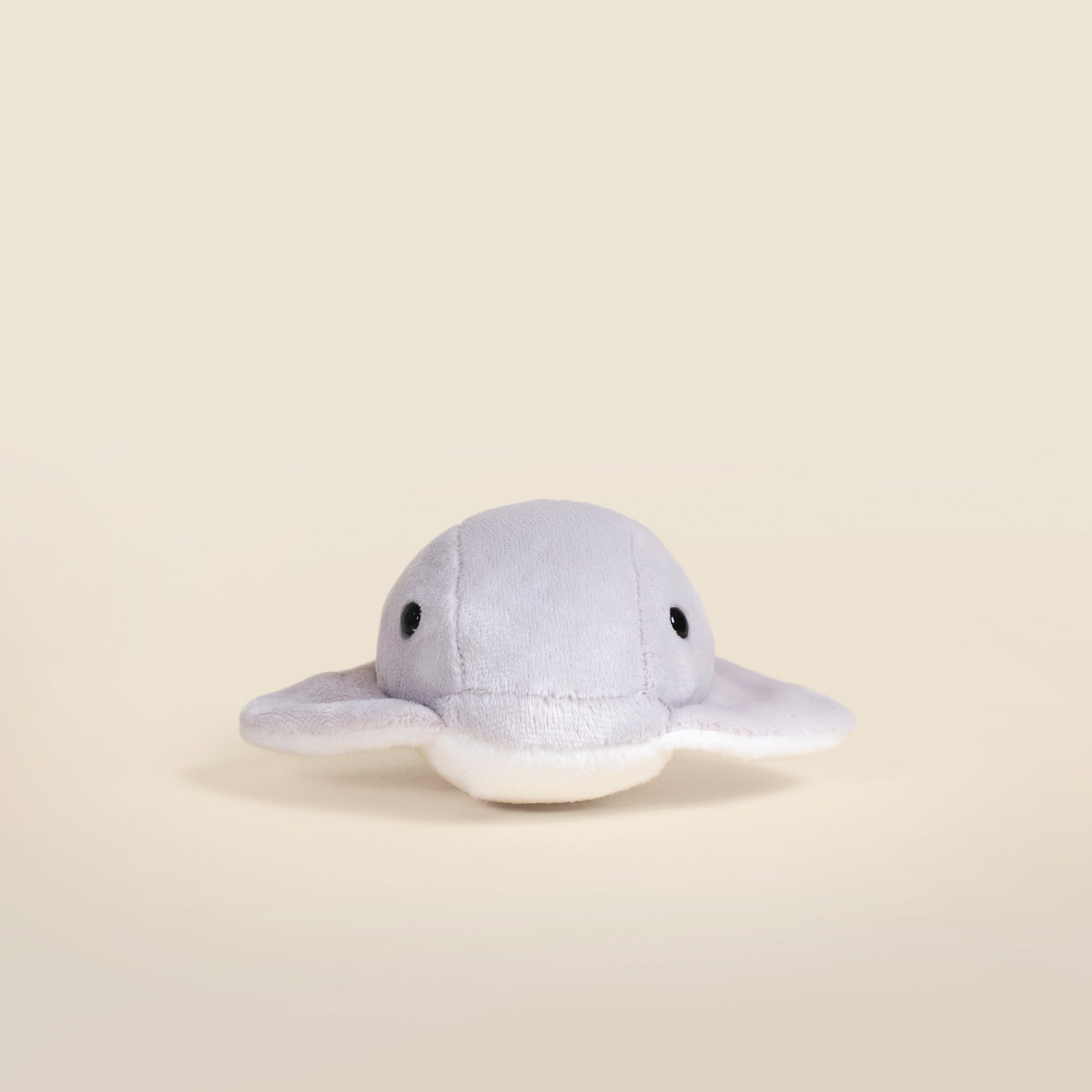 Mini Stingi the Sting Ray