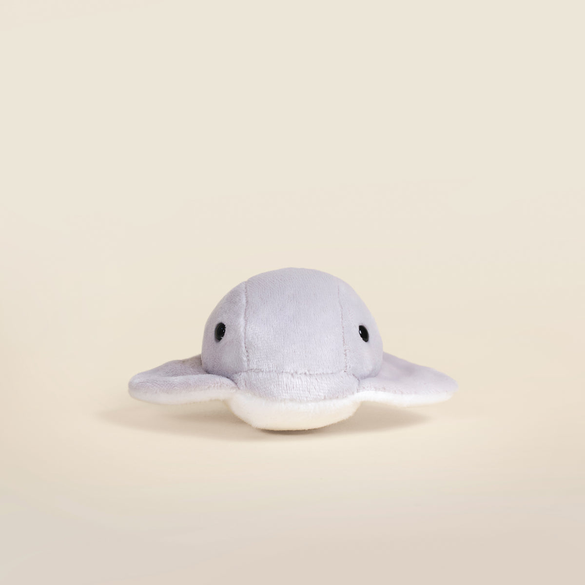 Mini Stingi the Sting Ray