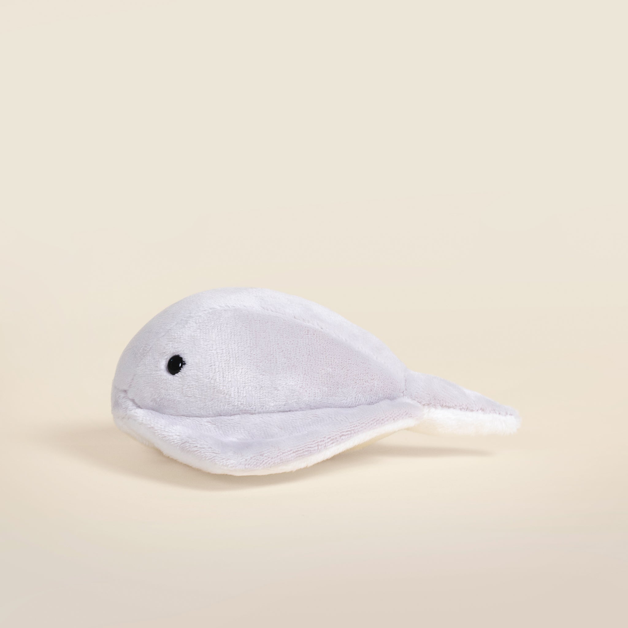 Mini Stingi the Sting Ray