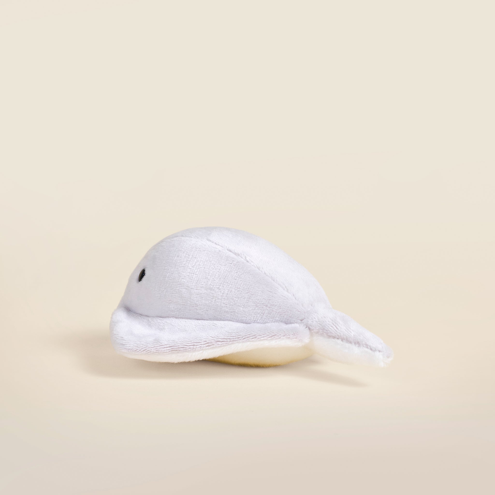 Mini Stingi the Sting Ray