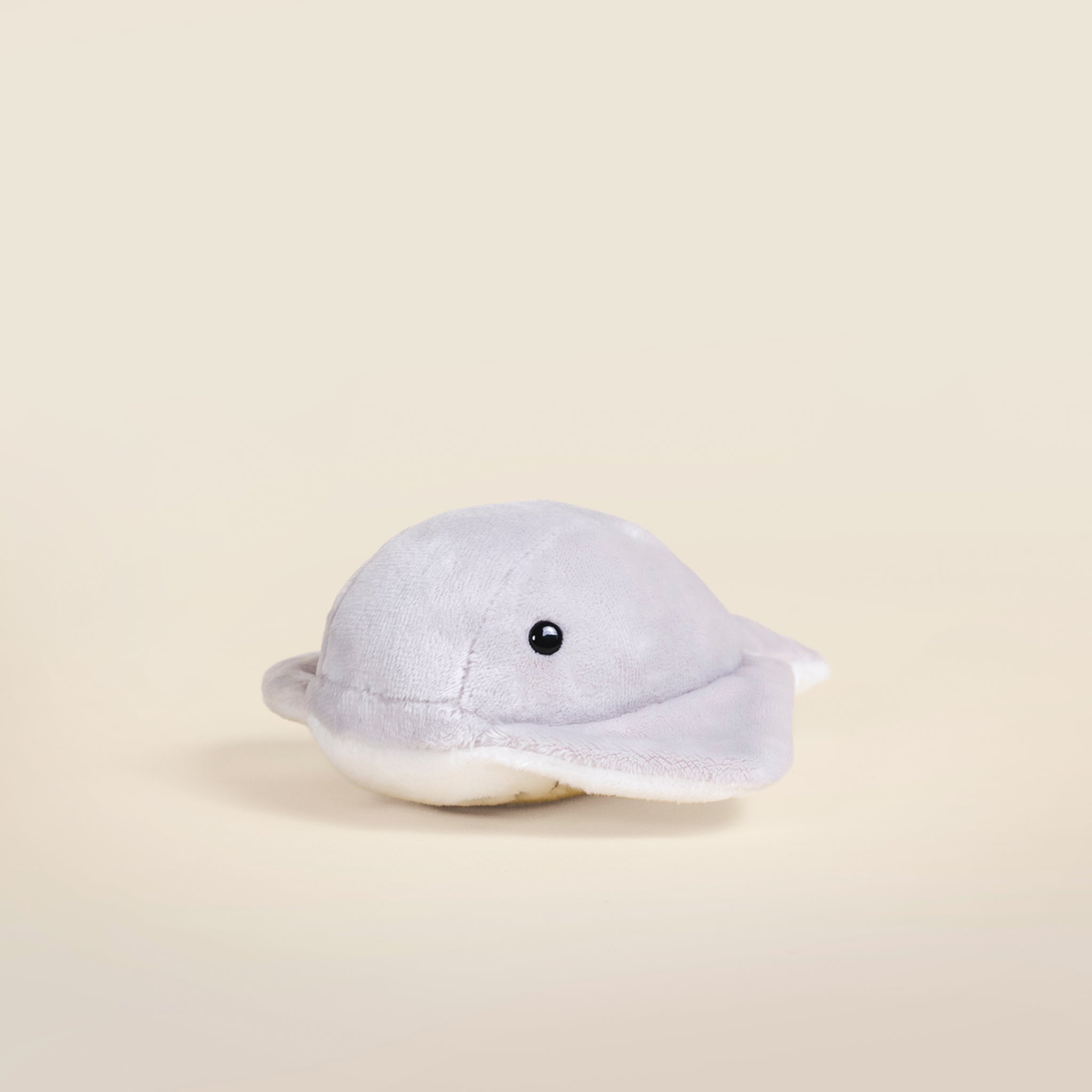 Mini Stingi the Sting Ray