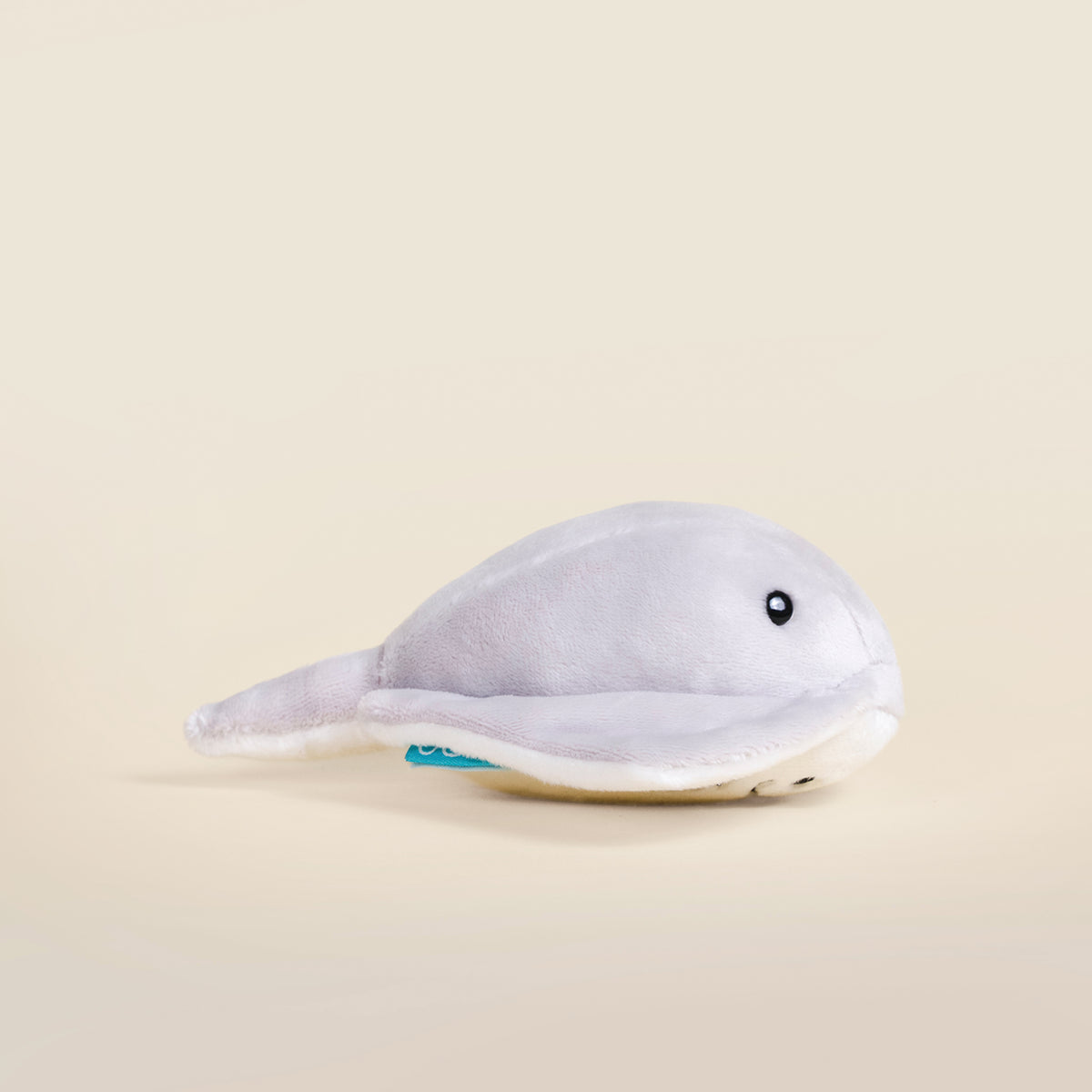 Mini Stingi the Sting Ray