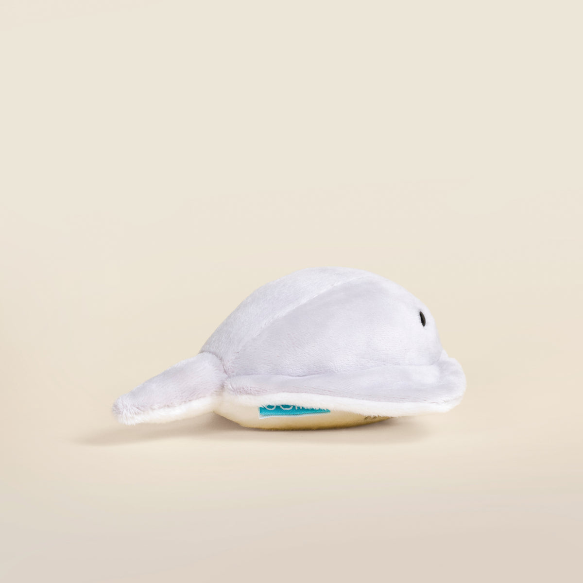 Mini Stingi the Sting Ray