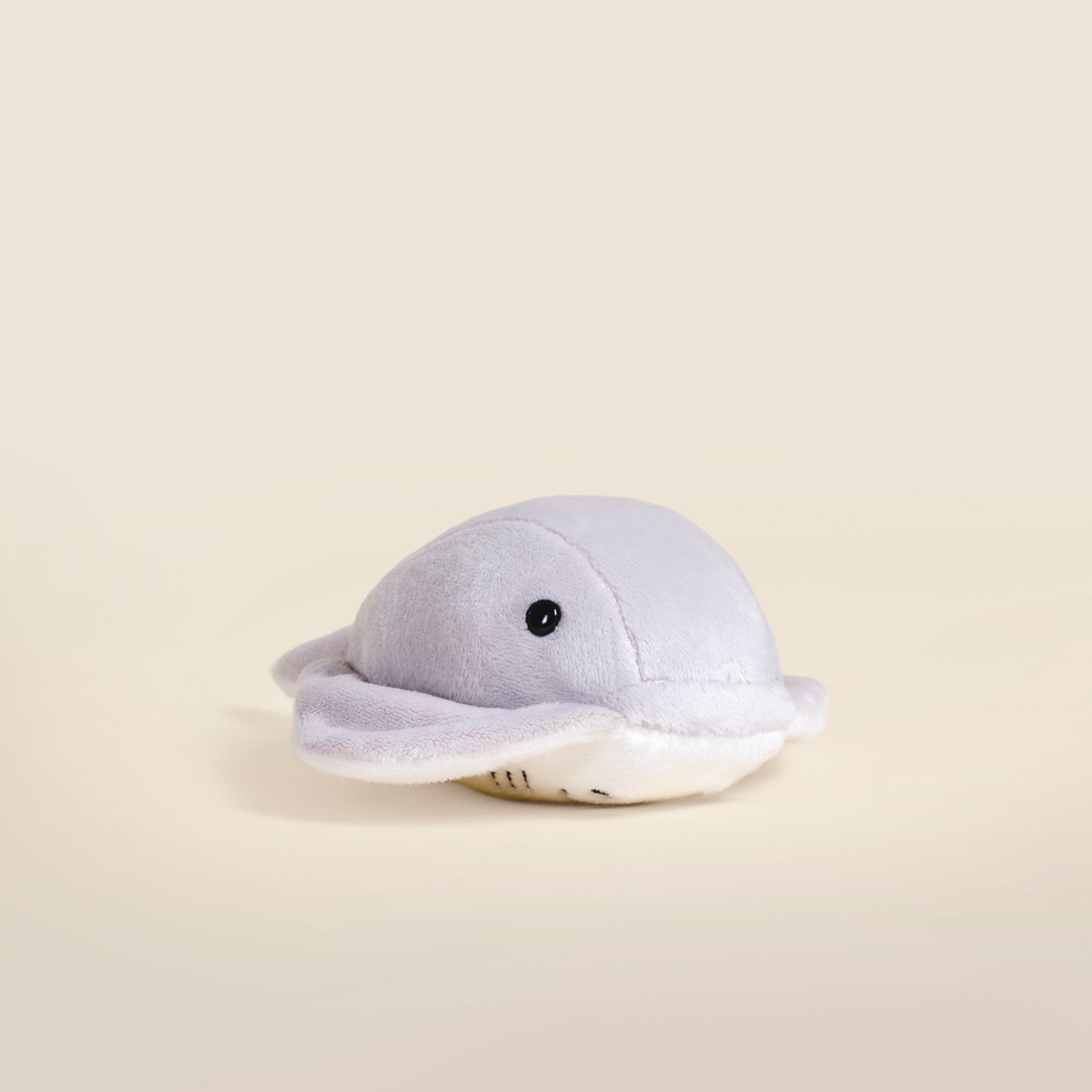 Mini Stingi the Sting Ray