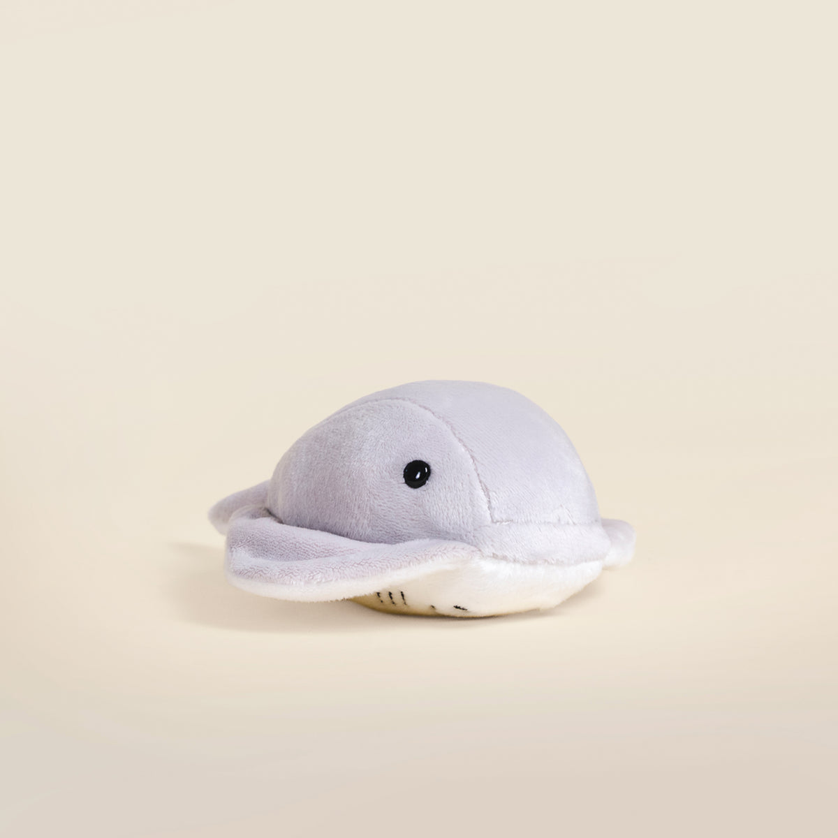 Mini Stingi the Sting Ray