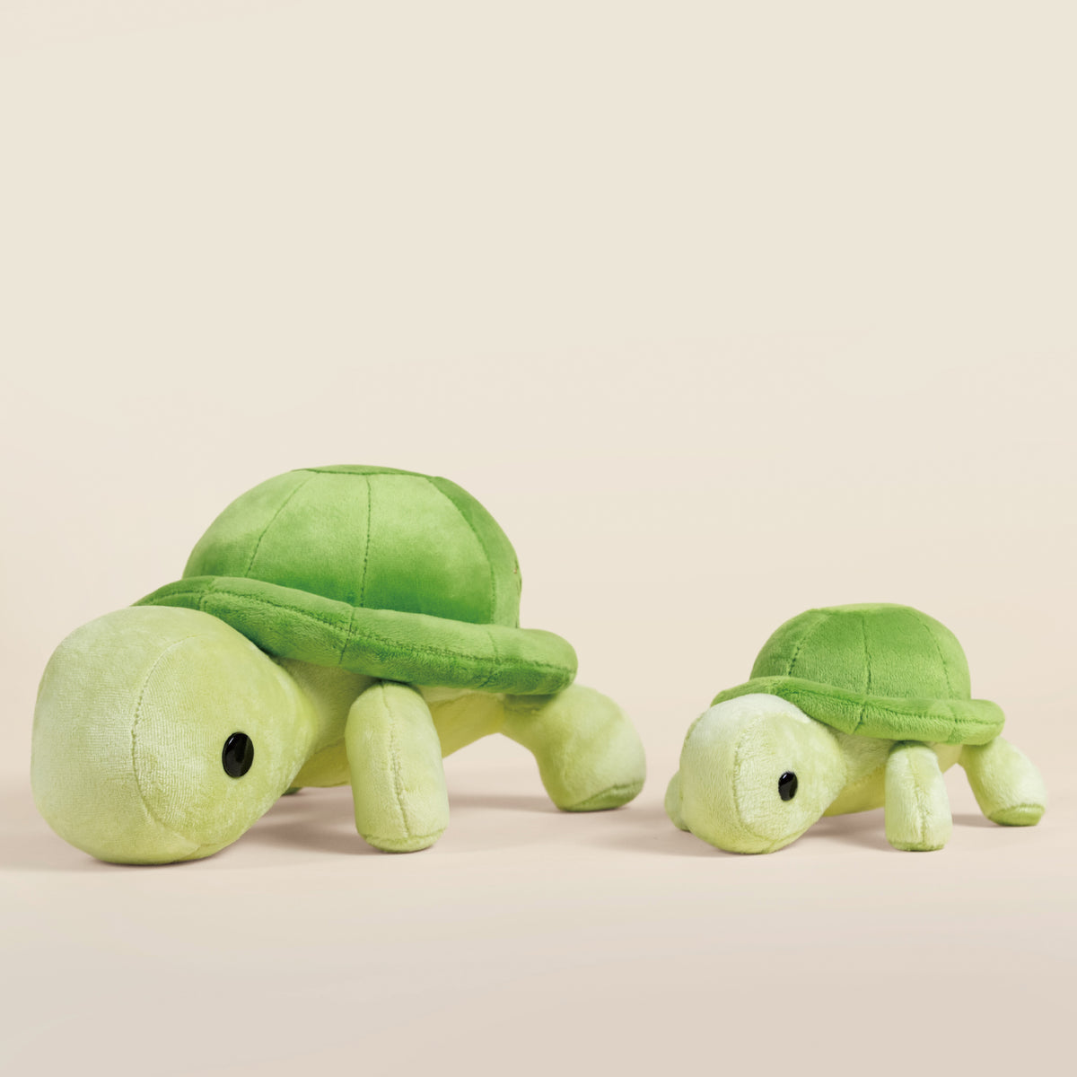 Mini Torti the Tortoise