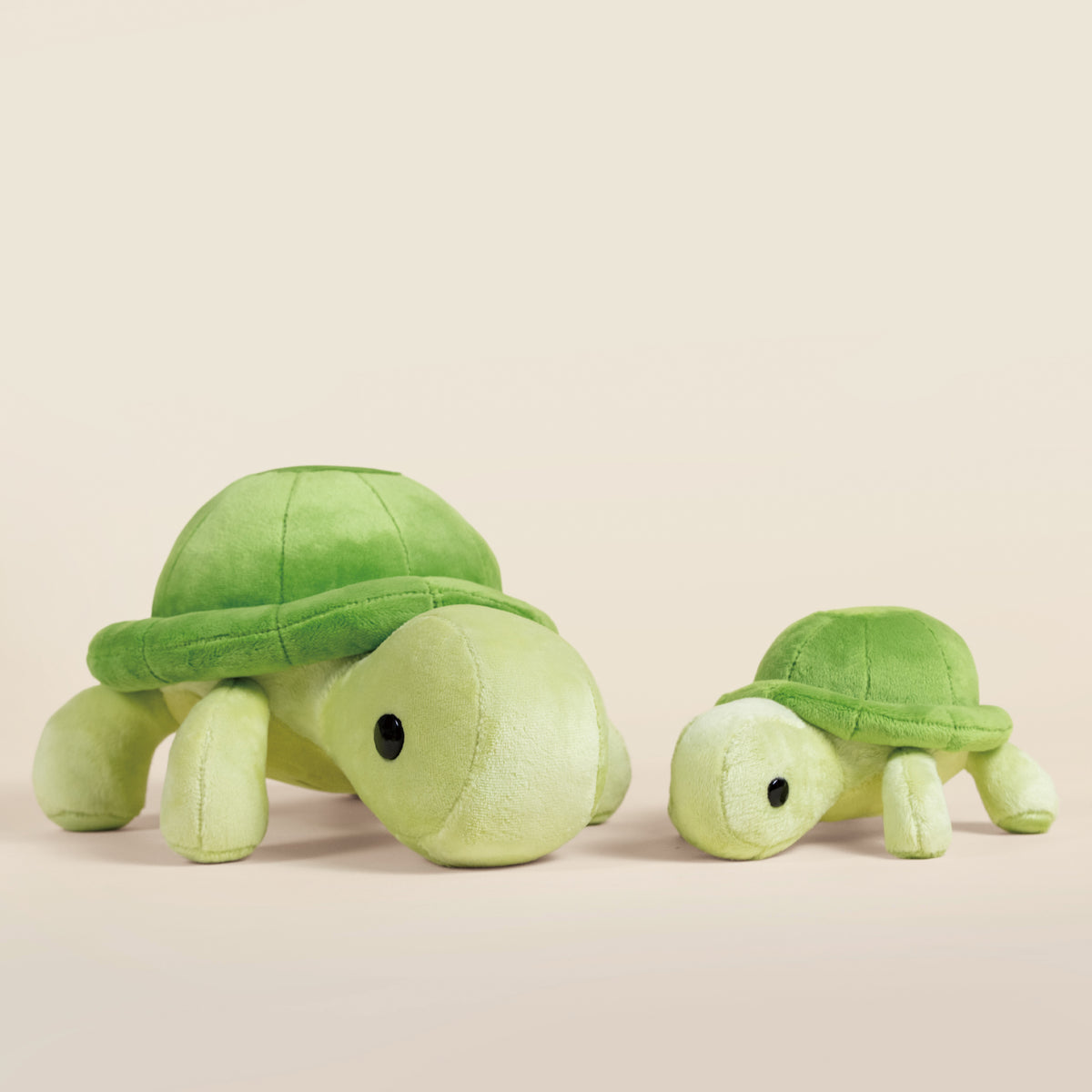Torti the Tortoise