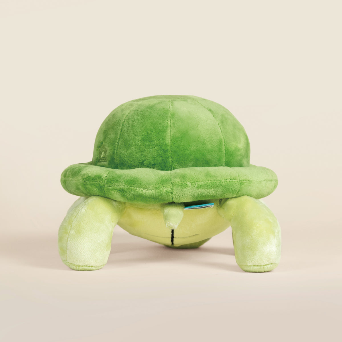 Torti the Tortoise