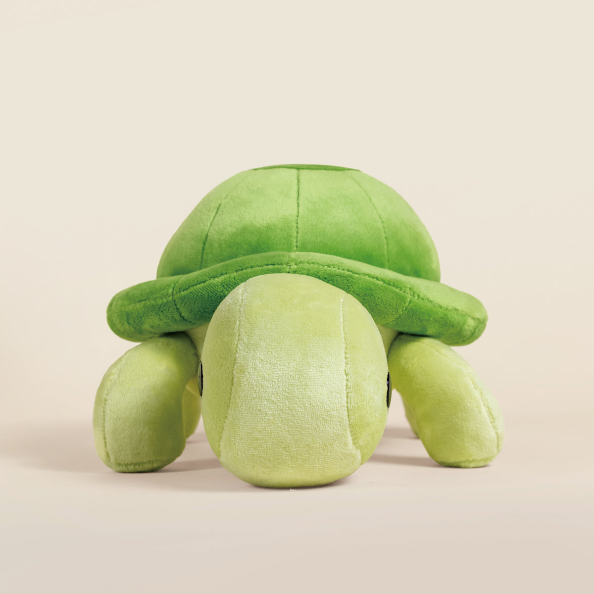 Torti the Tortoise
