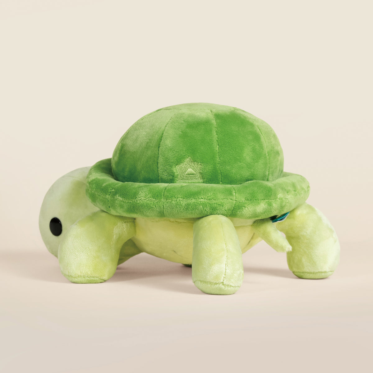 Torti the Tortoise
