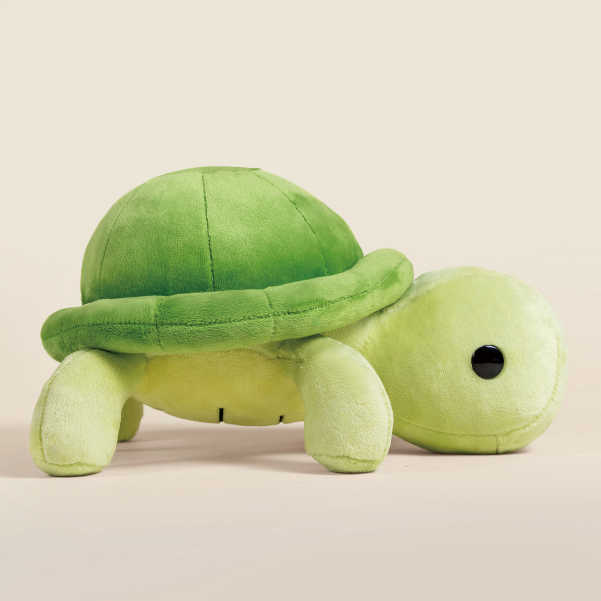 Torti the Tortoise