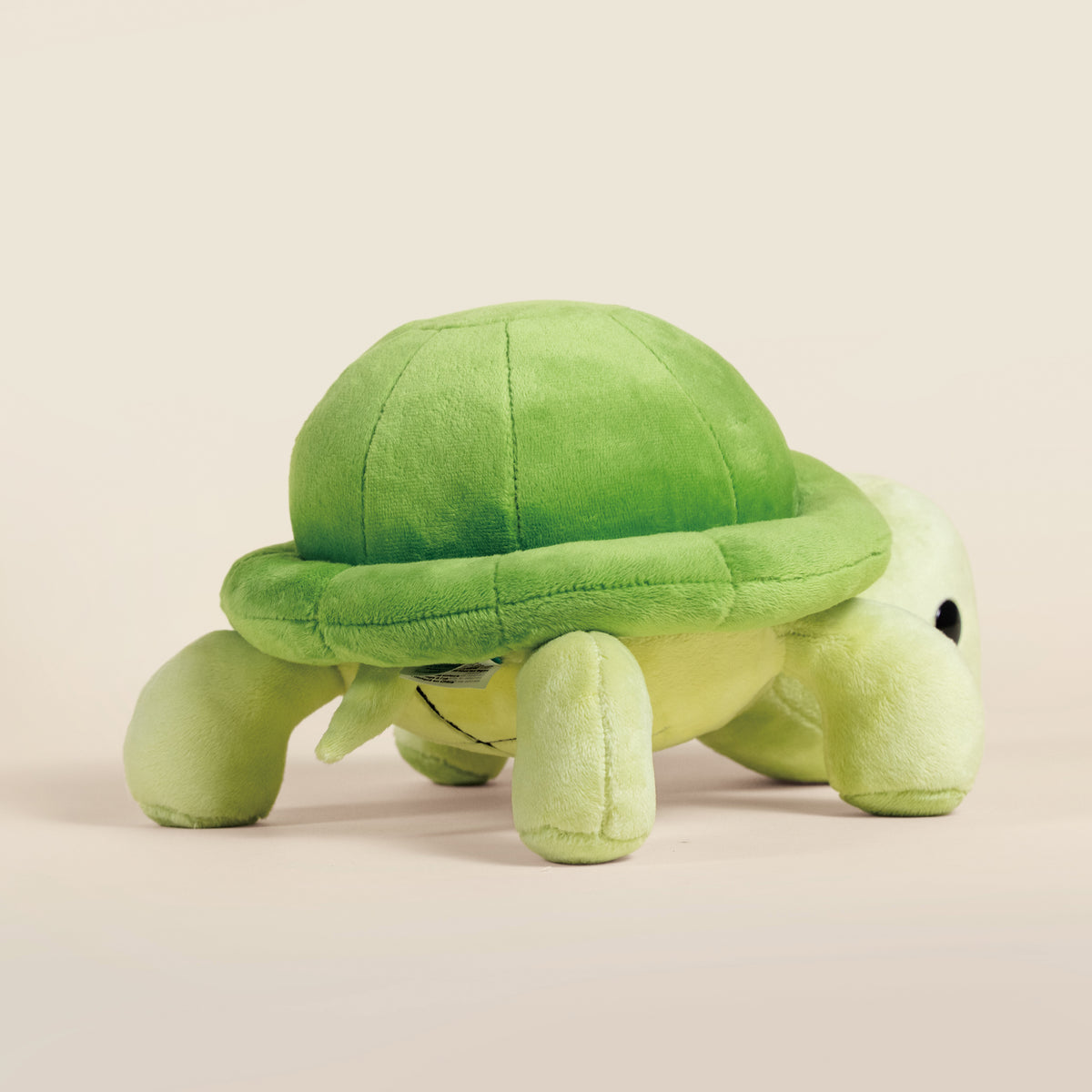 Torti the Tortoise