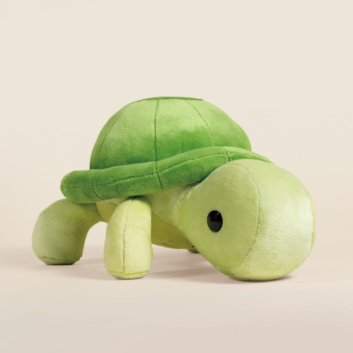 Torti the Tortoise