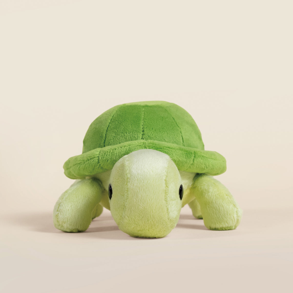 Mini Torti the Tortoise