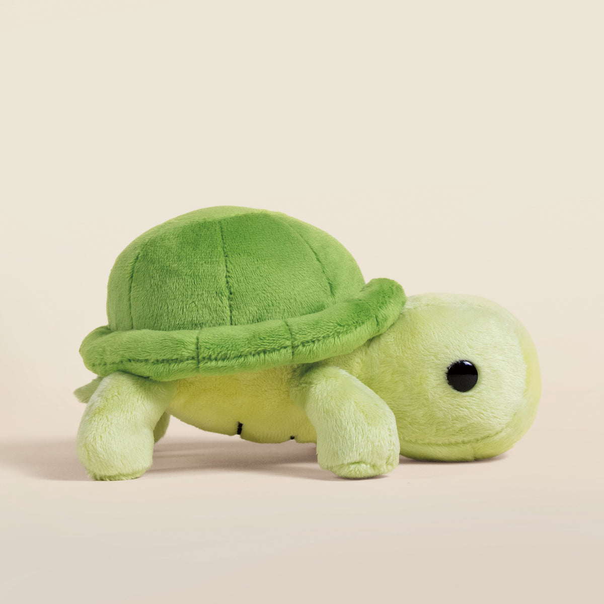 Mini Torti the Tortoise