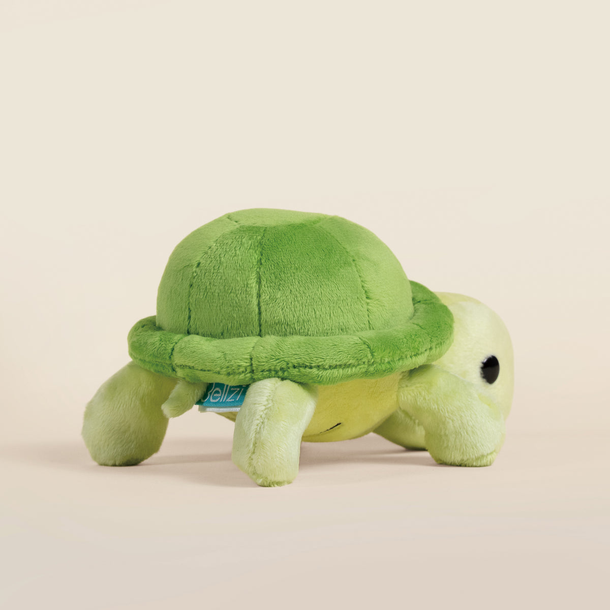 Mini Torti the Tortoise