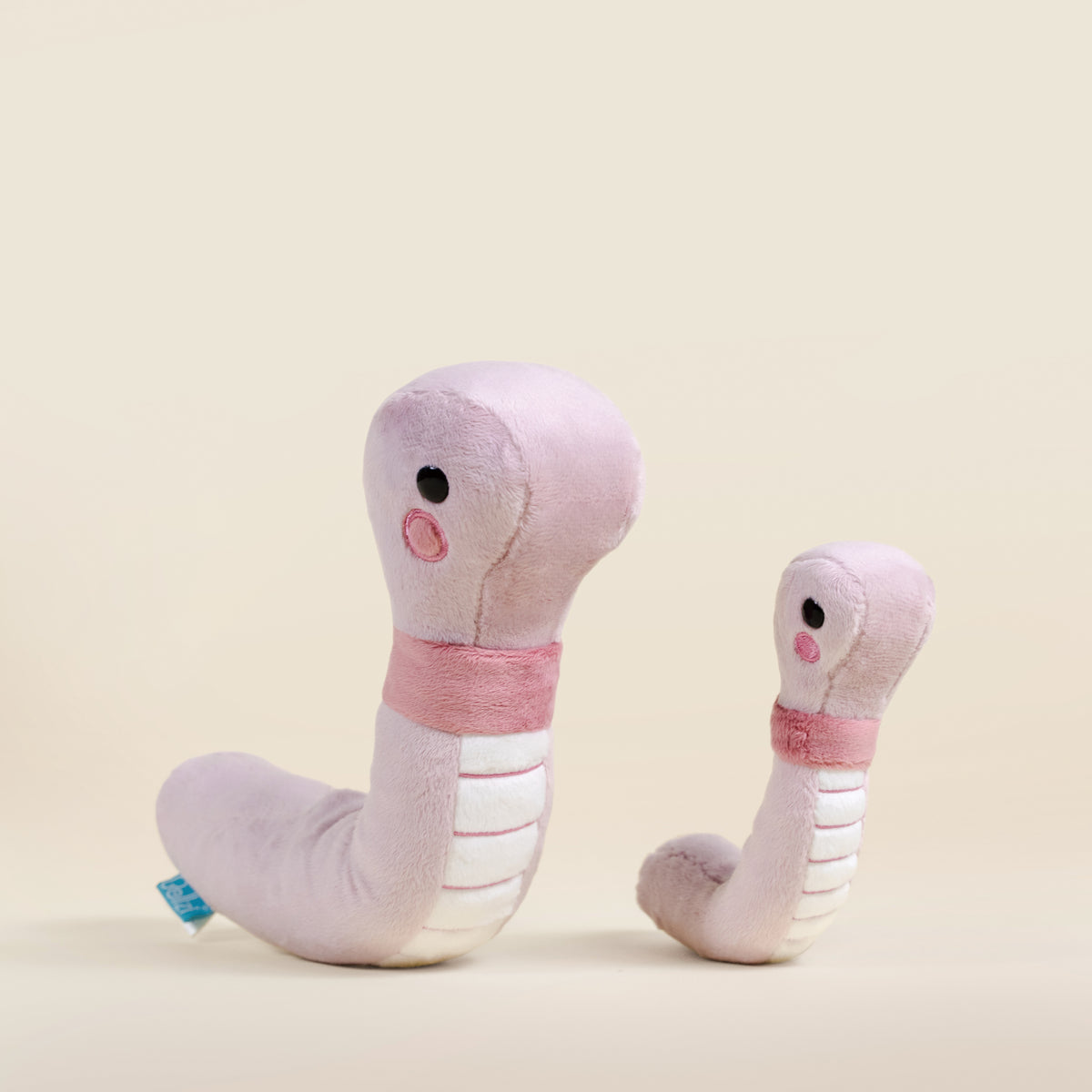 Wormi the Worm