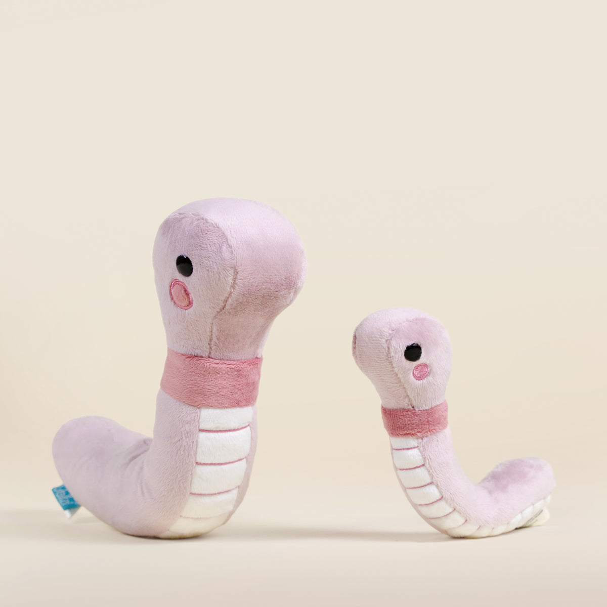 Wormi the Worm