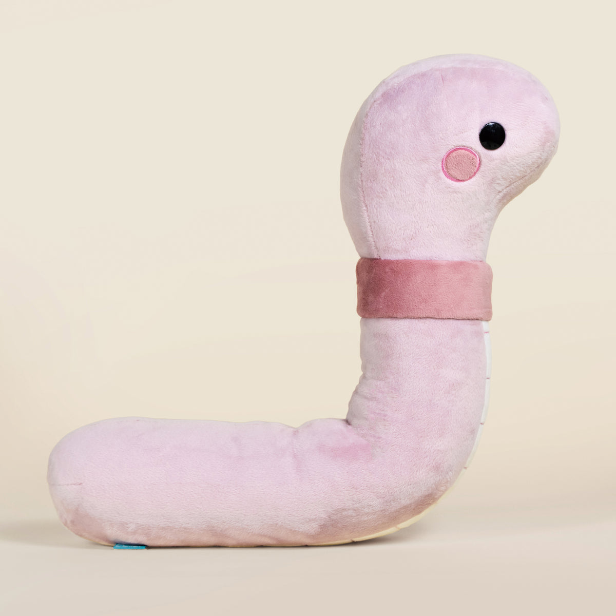 Giant Wormi the Worm