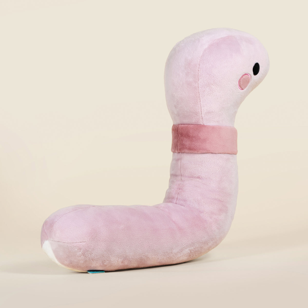 Giant Wormi the Worm