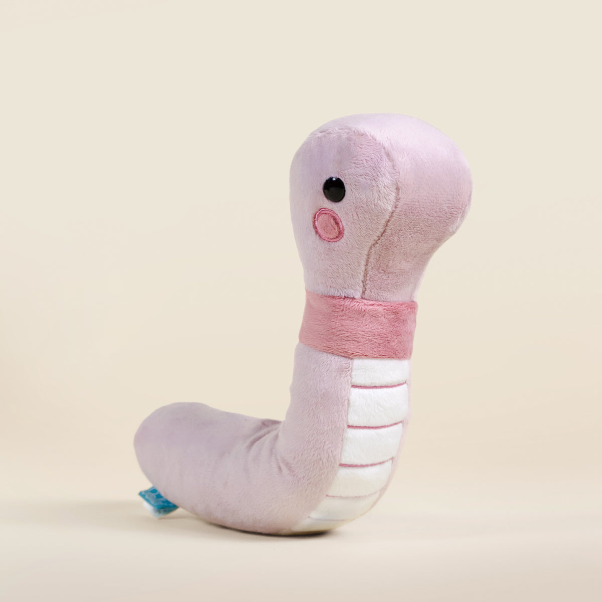 Wormi the Worm