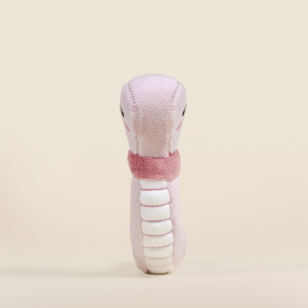 Mini Wormi the Worm