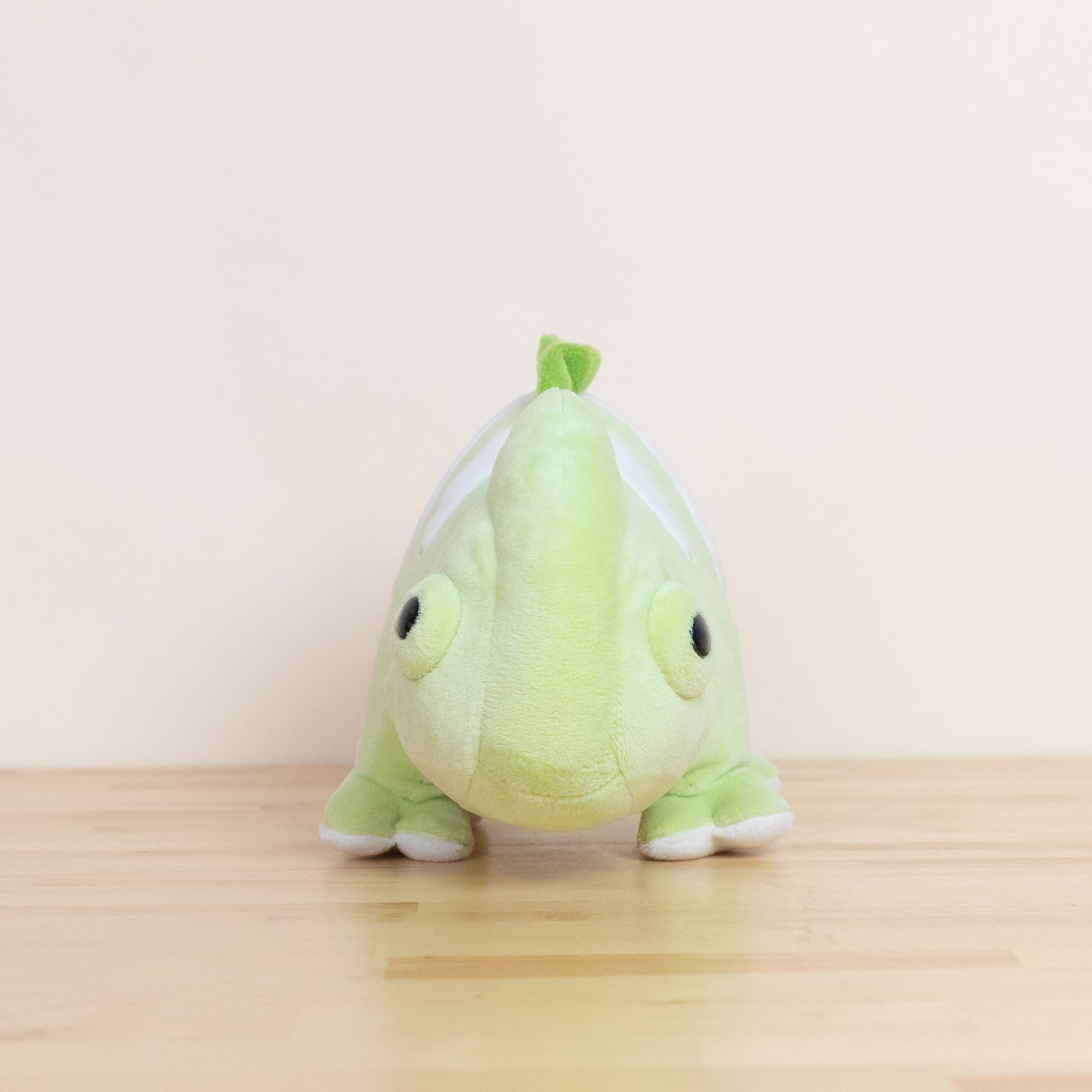 Chamili the Chameleon