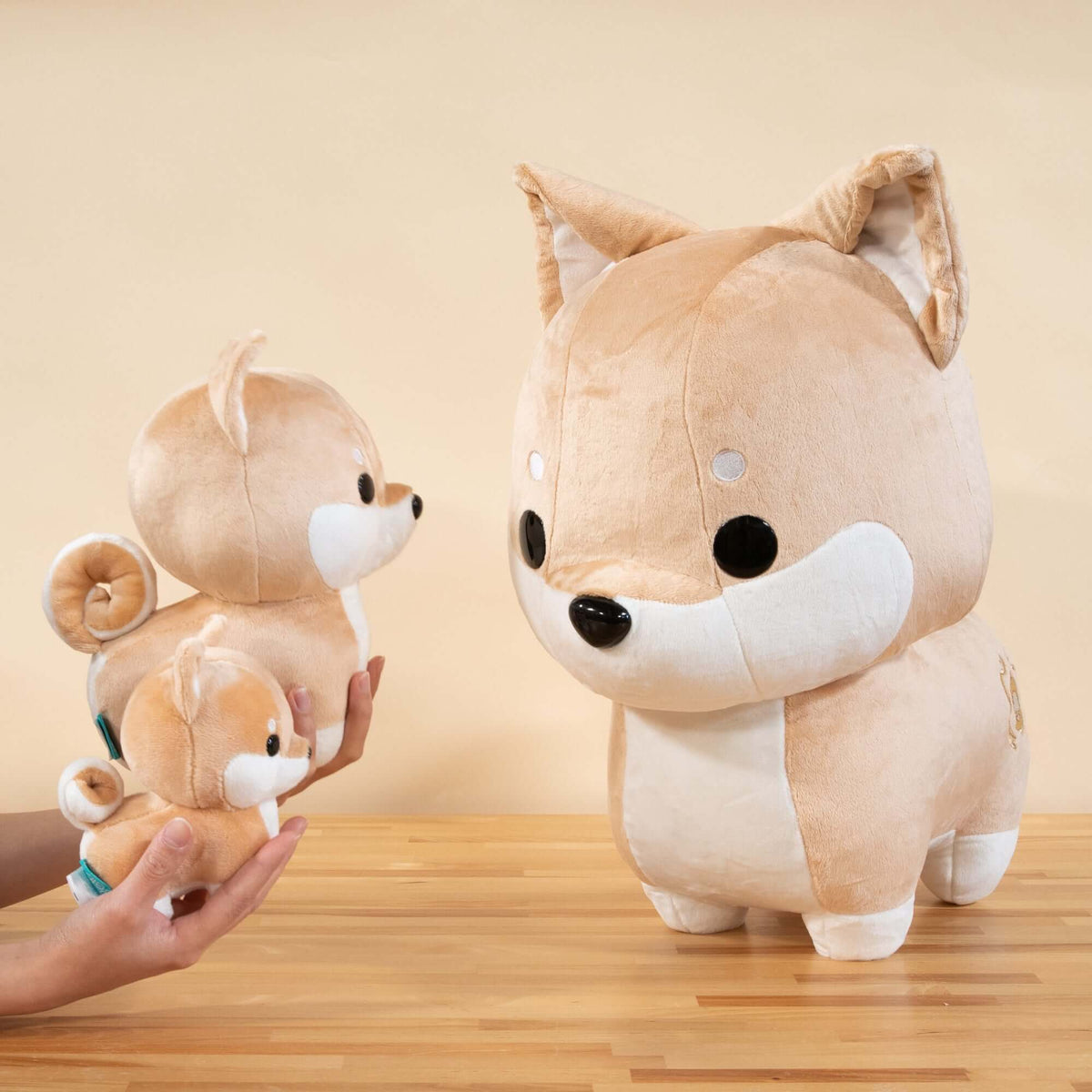 Jumbo Shibi the Shiba Inu - Bellzi