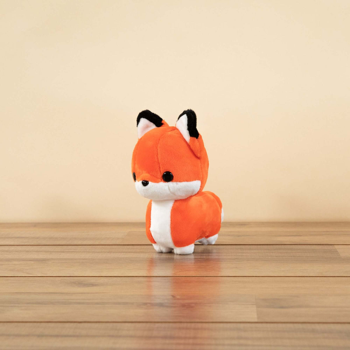 Foxxi Bundle - Bellzi