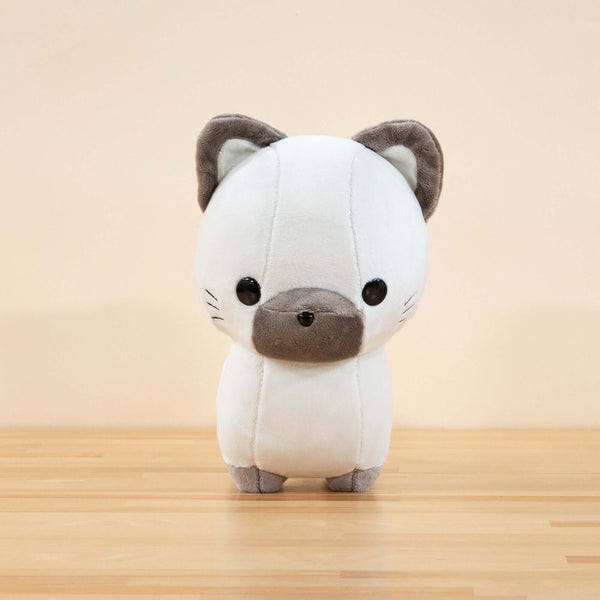 Bellzi cat Clearance